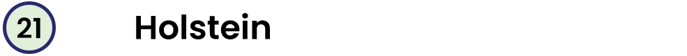 21 Holstein