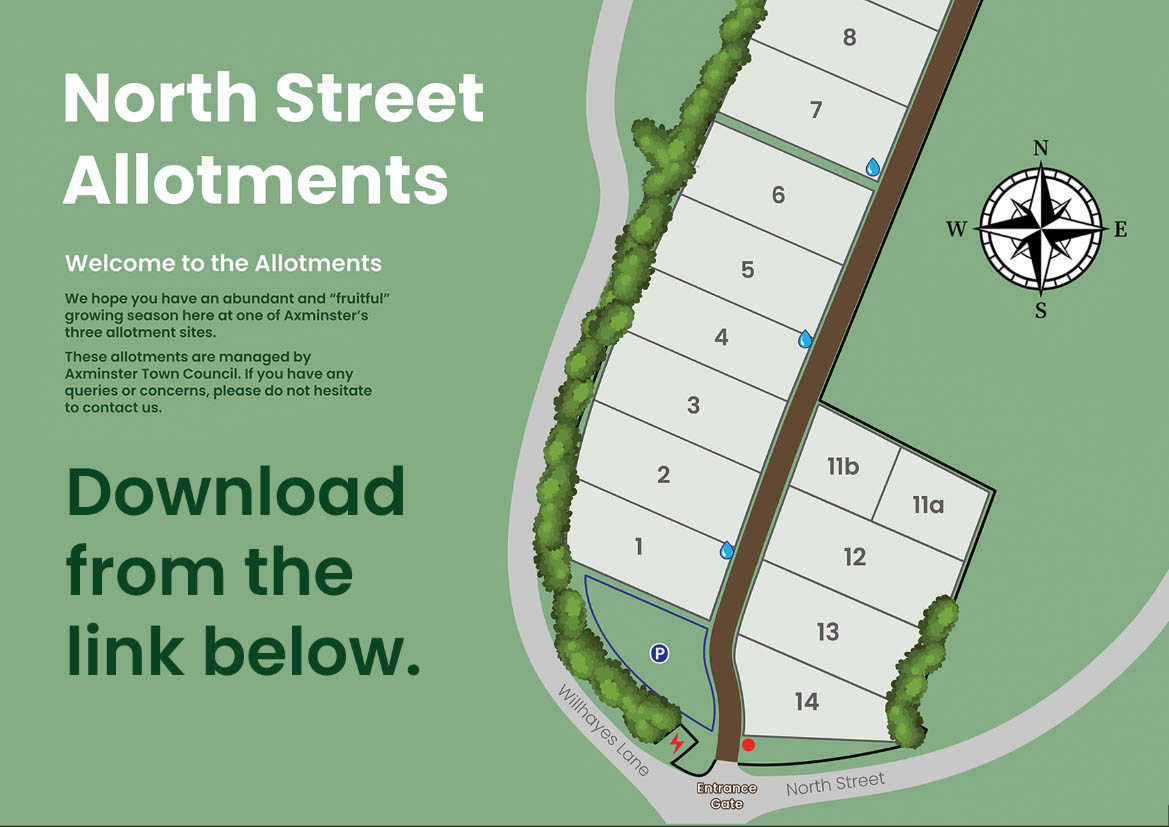 North Street Allotment Map Illustration