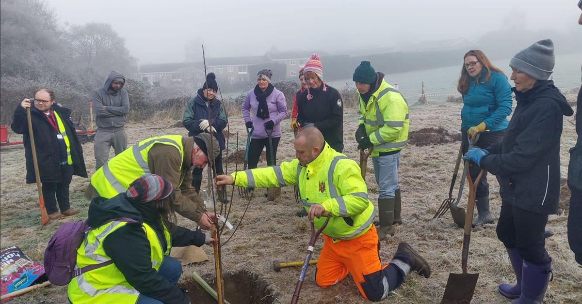 Learning to plant fruit trees with Tree Warden Mike Davis
